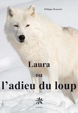 media/pim/7_metadata-image-42503668.jpeg