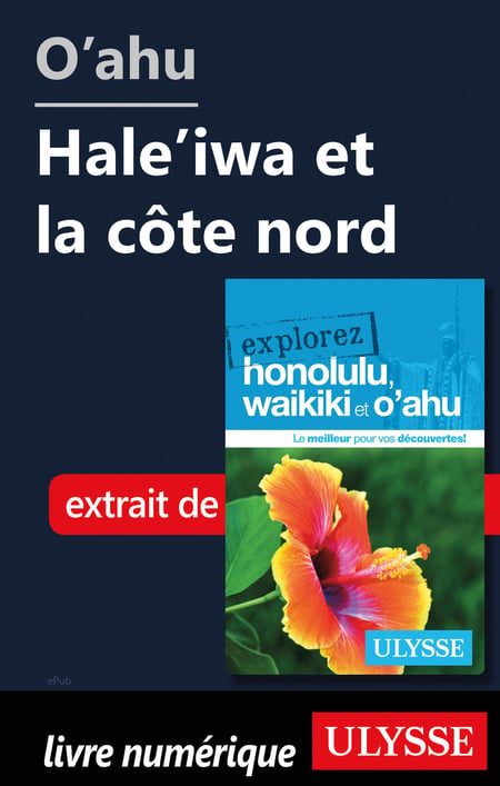 media/pim/7_metadata-image-51510959.jpeg