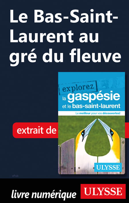 media/pim/7_metadata-image-51511046.jpeg