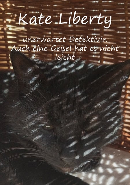 media/pim/7_metadata-image-71035511.jpeg
