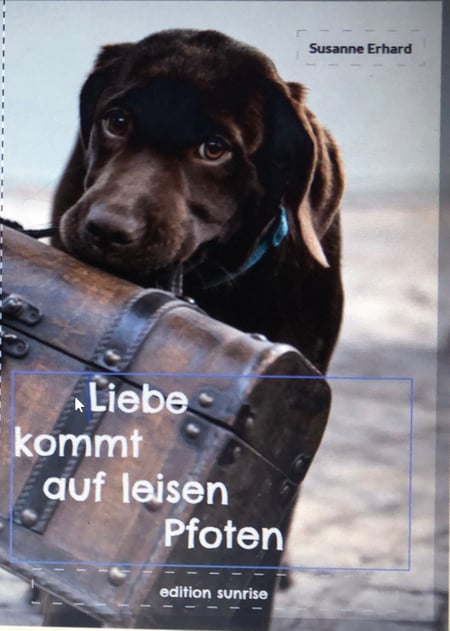 media/pim/7_metadata-image-71061271.jpeg