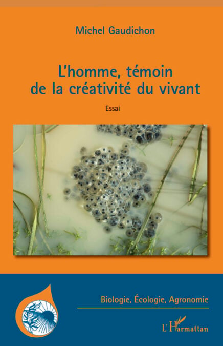 media/pim/7_metadata-image-8092756.jpeg