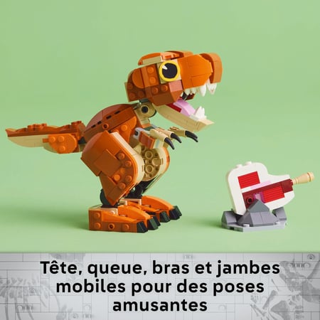 media/pim/80_10827839_8_30_FR.jpg