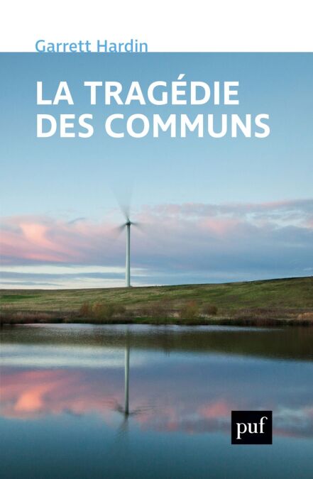 media/pim/80_cabb8bb2-49f8-4b71-a394-a671d1fbea5d.jpeg