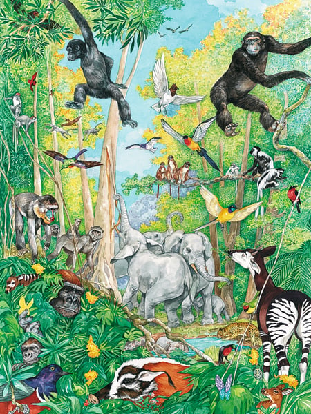 media/pim/80p-omy-les-animaux-4005556107346_2.JPG
