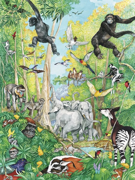 media/pim/80p-omy-les-animaux-4005556107346_5.jpg