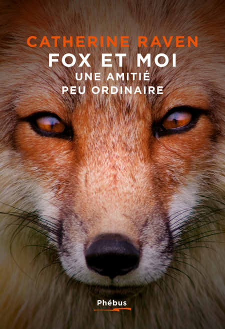 media/pim/81_9d4008be-57ee-4953-b0e7-3168f9b51c8b.jpeg