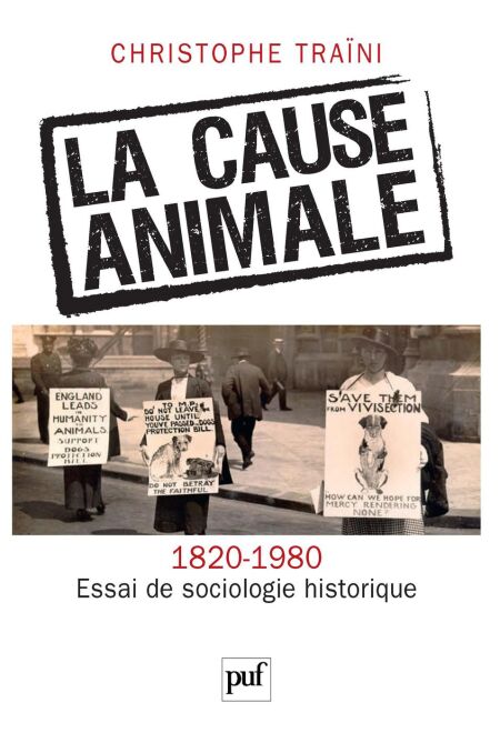 media/pim/81_f5df54fd-e940-4596-9a2a-71acbade6740.jpeg
