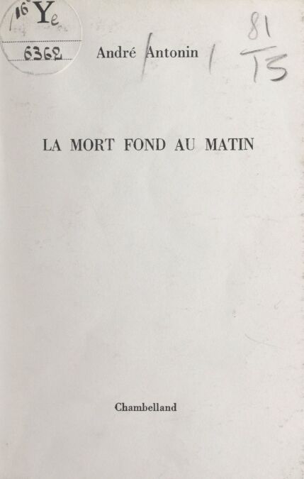 media/pim/81_fcbbe441-4e9d-40c0-a3b6-034d70c20ad0.jpeg