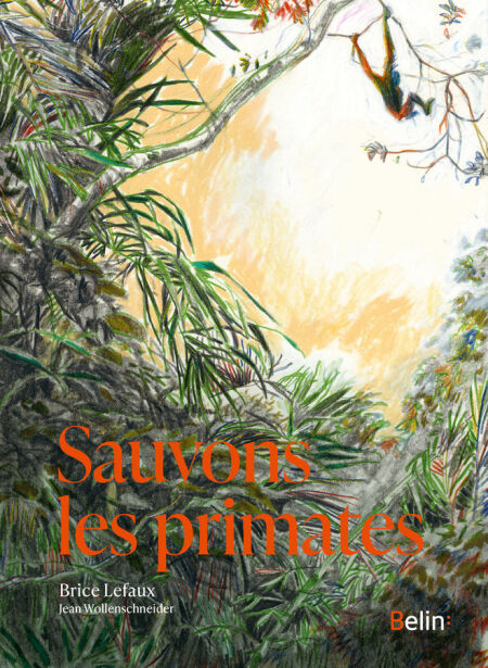 media/pim/82_fb653a29-1ec5-452e-984a-f830d556cc56.jpeg