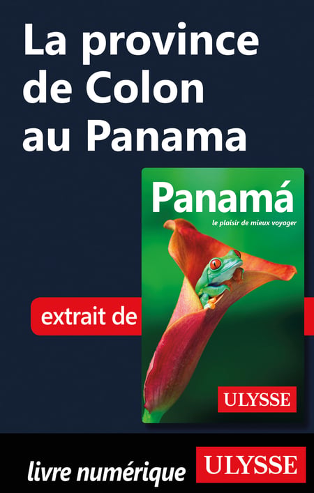 media/pim/82_metadata-image-15445013.jpeg