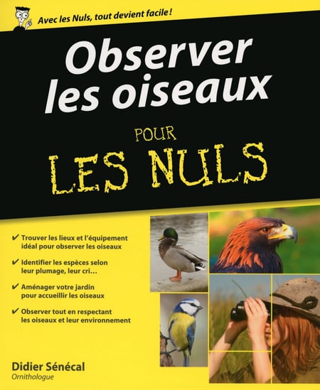media/pim/82_metadata-image-3029211.jpeg