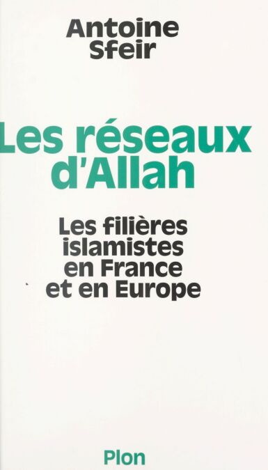 media/pim/83_ecdb6932-e2f0-4e87-9260-efc1c9009333.jpeg
