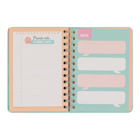 Agenda civil semainier 2024 Mr Wonderful - Bleu - 15,6 x 22,1 cm - Je vais  accomplir des milliers de choses