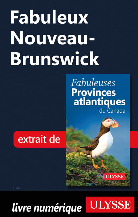 media/pim/84_metadata-image-51511098.jpeg