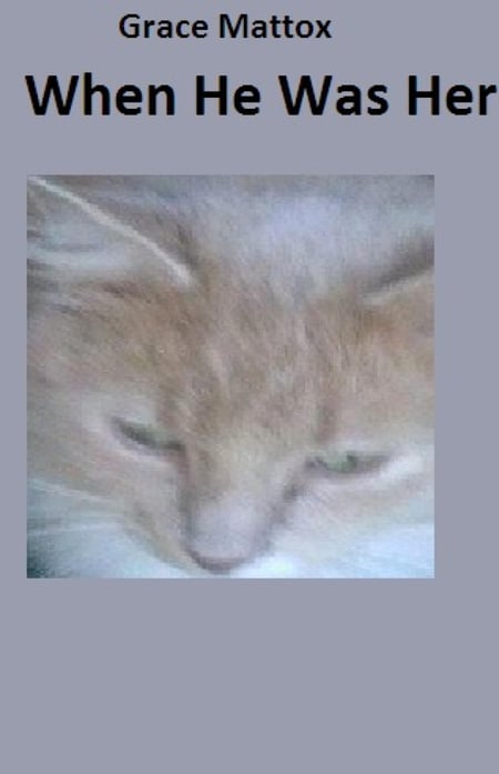 media/pim/84_metadata-image-66516323.jpeg