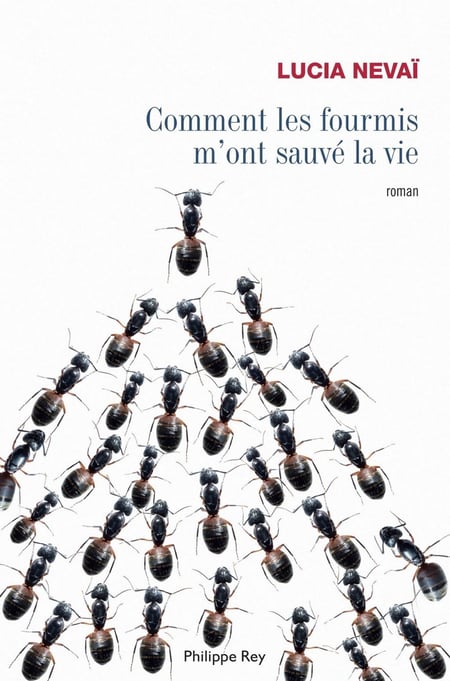 media/pim/8_metadata-image-33811792.jpeg