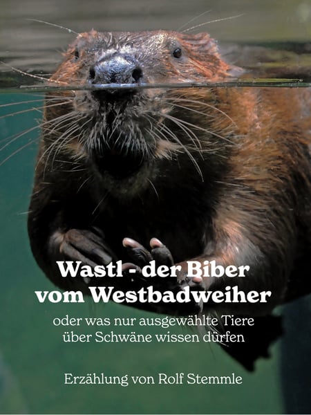 media/pim/8_metadata-image-71049570.jpeg