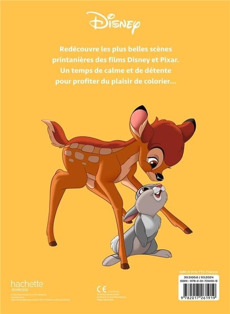 media/pim/9782017261919_1.jpg