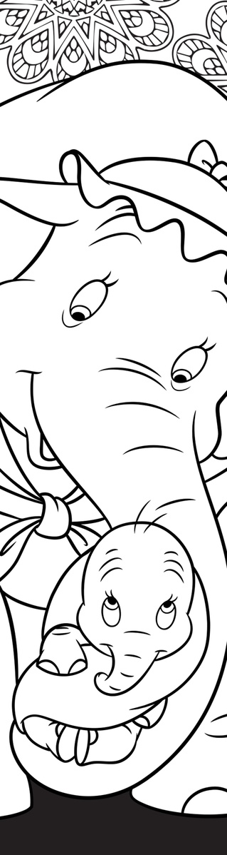 media/pim/9782017312628_1.jpg