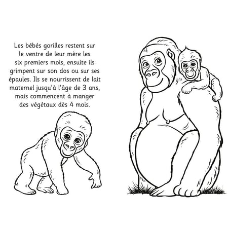 media/pim/9782366539448_2.jpg