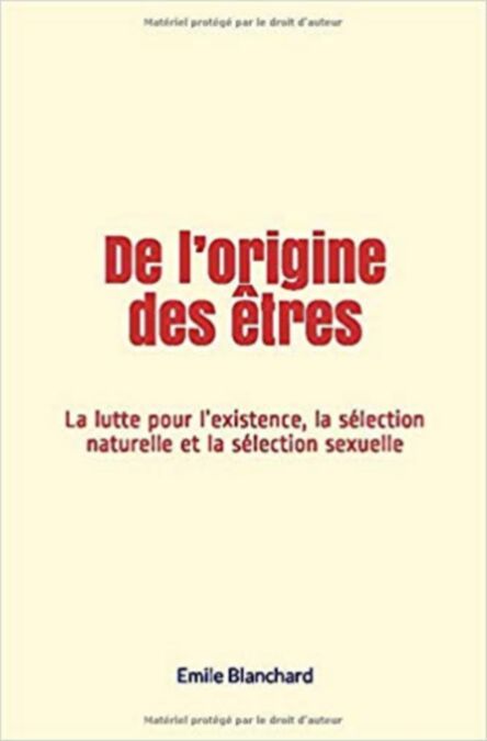 media/pim/9_38a01da7-0318-4385-891a-e0be6d58b714.jpeg
