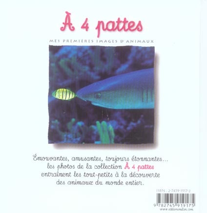 media/pim/TITELIVE/0_9782745919175_4_75.jpg