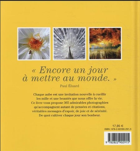 media/pim/TITELIVE/0_9782822902915_4_75.jpg