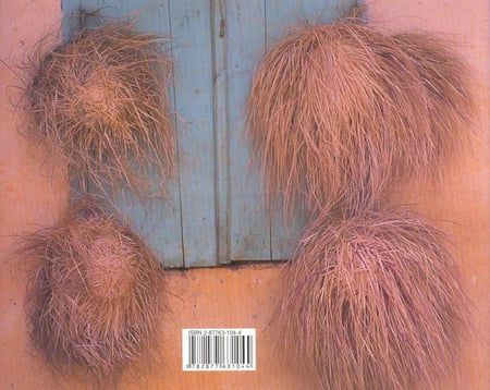 media/pim/TITELIVE/0_9782877631044_4_75.jpg