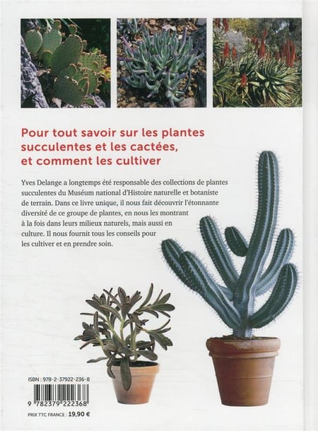 Choisir et cultiver cactus et plantes succulentes