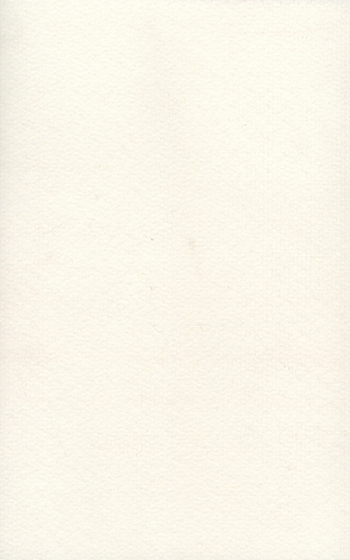 media/pim/TITELIVE/10_9782851946287_4_75.jpg