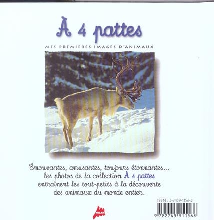 media/pim/TITELIVE/11_9782745911568_4_75.jpg