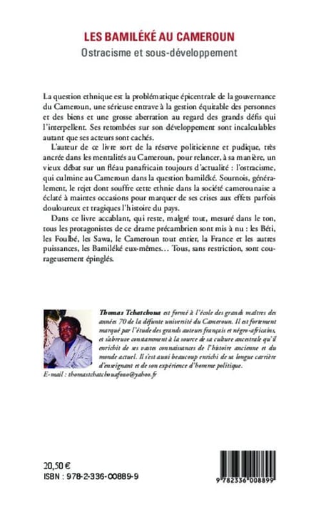 media/pim/TITELIVE/12_9782336008899_4_75.jpg
