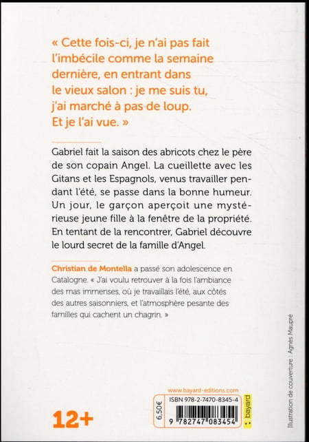 media/pim/TITELIVE/12_9782747083454_4_75.jpg