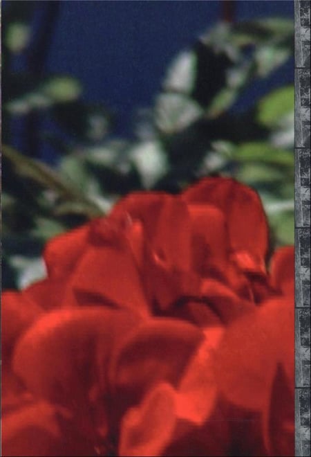 media/pim/TITELIVE/14_9782365113496_4_75.jpg