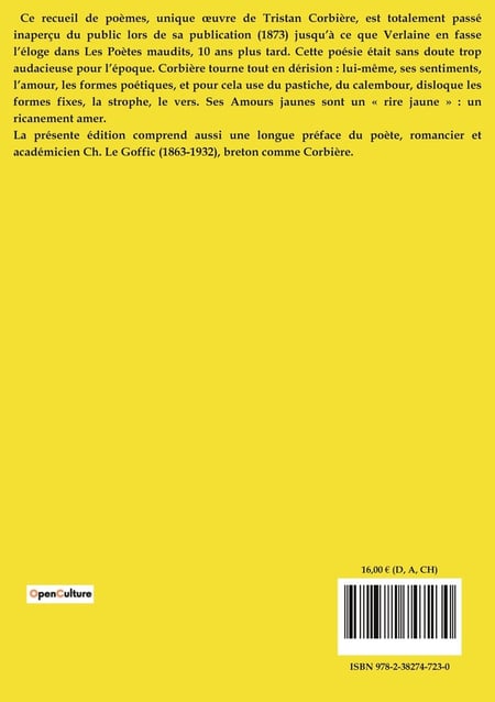 media/pim/TITELIVE/15_9782382747230_4_75.jpg