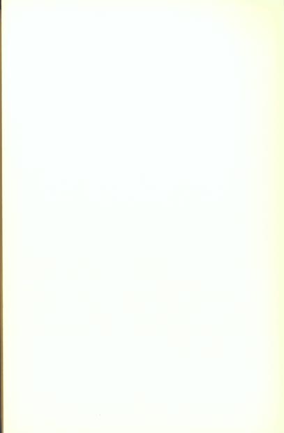 media/pim/TITELIVE/15_9782851945532_4_75.jpg