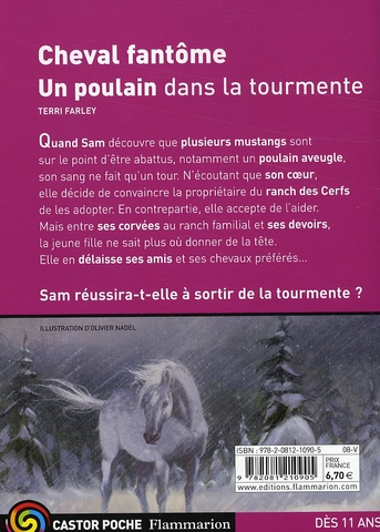 media/pim/TITELIVE/16_9782081210905_4_75.jpg