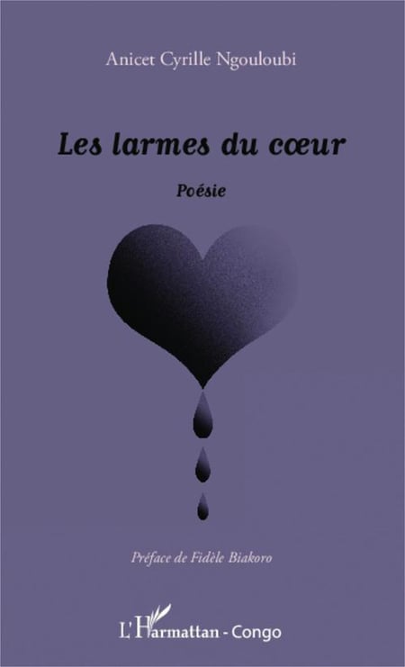media/pim/TITELIVE/16_9782336336206_1_75.jpg