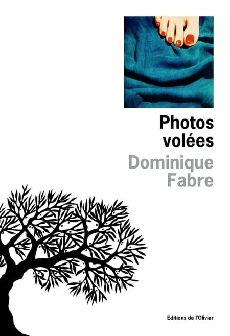 media/pim/TITELIVE/17_9782823600728_1_75.jpg