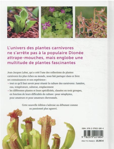 Les plantes carnivores, qu'est-ce que c'est ? – Loti News