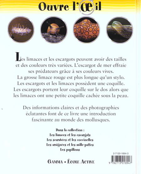 media/pim/TITELIVE/1_9782713018947_4_75.jpg