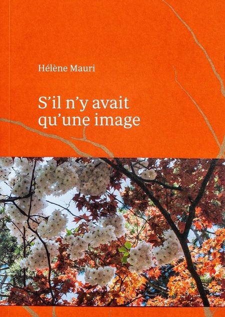 media/pim/TITELIVE/1_9782843140280_1_75.jpg