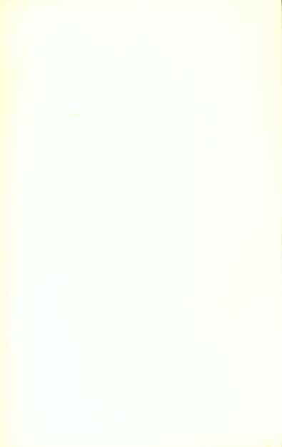 media/pim/TITELIVE/1_9782851945587_4_75.jpg