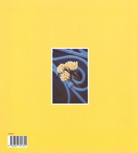 media/pim/TITELIVE/20_9782867701351_4_75.jpg
