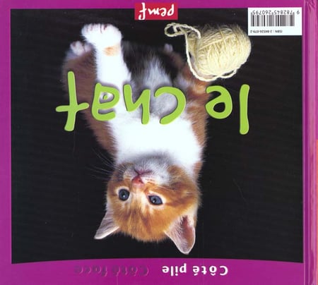 media/pim/TITELIVE/21_9782845260795_4_75.jpg