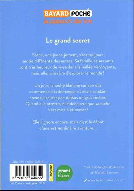 Le monde magique de Sasha Tome 1 : le grand secret : Paco Sordo ...