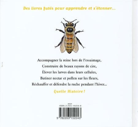 media/pim/TITELIVE/24_9782203152243_4_75.jpg