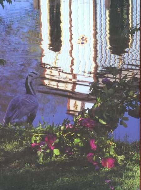 media/pim/TITELIVE/24_9782742724277_4_75.jpg