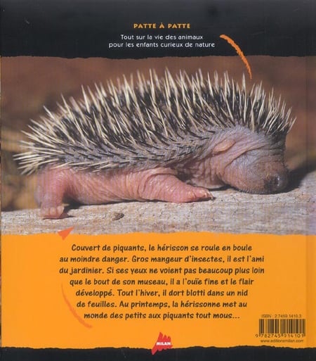 media/pim/TITELIVE/24_9782745914101_4_75.jpg